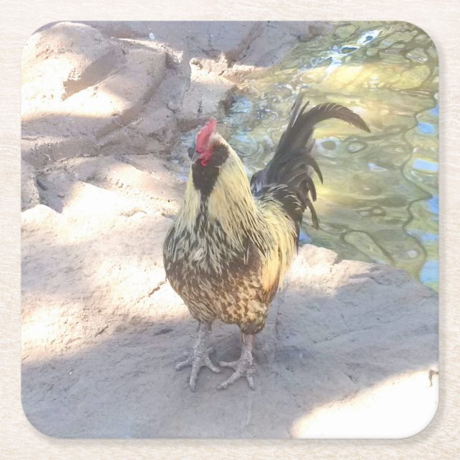 Dessous-de-verre Carré En Papier Barres-boissons (Devant)