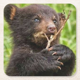 Dessous-de-verre Carré En Papier Beau bébé ours