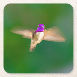 Dessous-de-verre Carré En Papier Beau colibri dans le jeu de Dessous de verre de vo