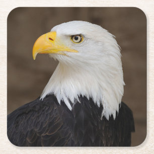 Dessous-de-verre Carré En Papier Beau Dessous de verre d'aigle