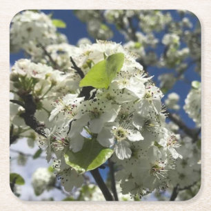 Dessous-de-verre Carré En Papier Beau Dessous de verre Fleurs
