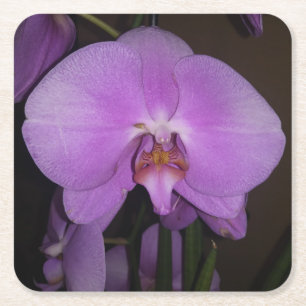 Dessous-de-verre Carré En Papier Beau Dessous de verre orchidée