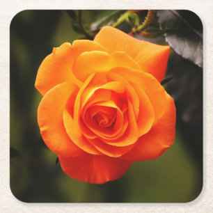 Dessous-de-verre Carré En Papier Beau Rose orange