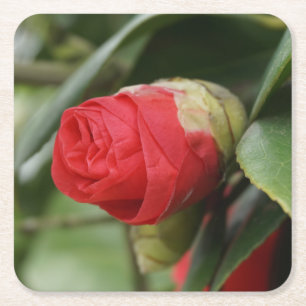 Dessous-de-verre Carré En Papier Belle Carthame Rouge