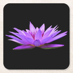 Dessous-de-verre Carré En Papier Belle Nénuphar Violet Flottant