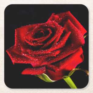 Dessous-de-verre Carré En Papier Belle rose rouge