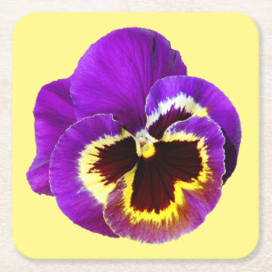 Dessous-de-verre Carré En Papier Belle sansy violet