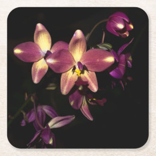 Dessous-de-verre Carré En Papier Belles Orchidées