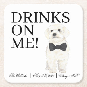 Dessous-de-verre Carré En Papier Bichon, Bologne, Havanais, Mariage maltais