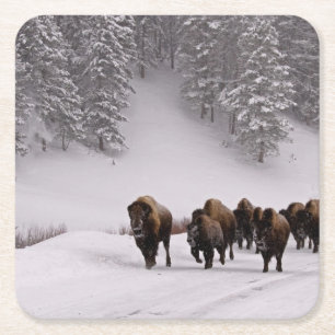Dessous-de-verre Carré En Papier Bison en hiver