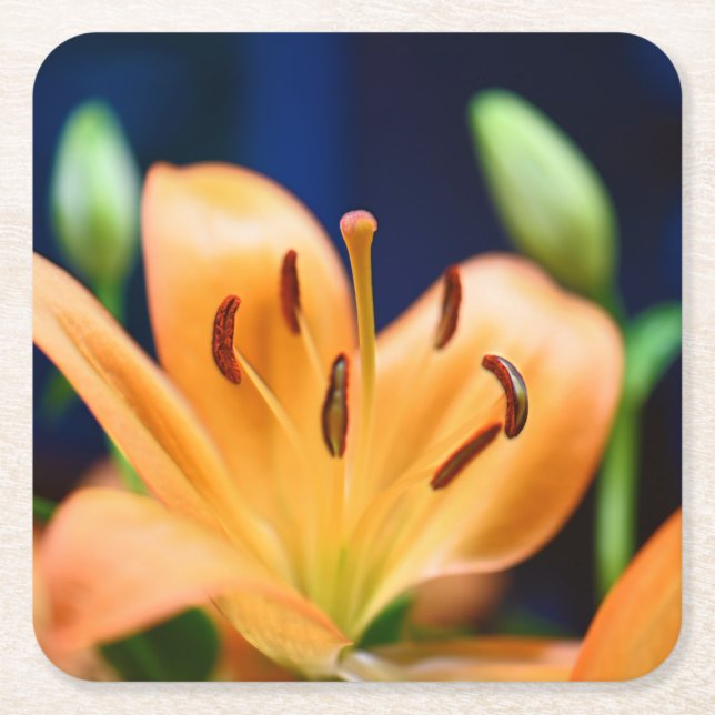 Dessous-de-verre Carré En Papier Blossom orange Lilly (Devant)