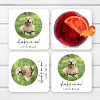 Bois Sur Moi ! Mariage pour animal de compagnie po