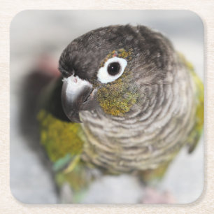 Dessous-de-verre Carré En Papier Burbel