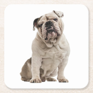 Dessous-de-verre Carré En Papier Cadeaux drôles de Bulldog anglais amateur de chien