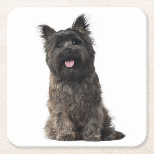 Dessous-de-verre Carré En Papier Cairn Terrier Grey Black Chien Chien Chien Noir Ai