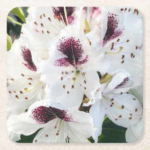Dessous-de-verre Carré En Papier Calsap Rhododendrons