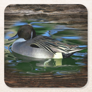 Dessous-de-verre Carré En Papier Canard De Mallard Sur Le Lac