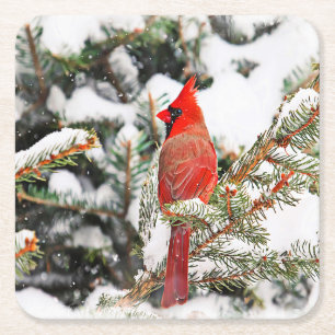 Dessous-de-verre Carré En Papier Cardinal dans un pin