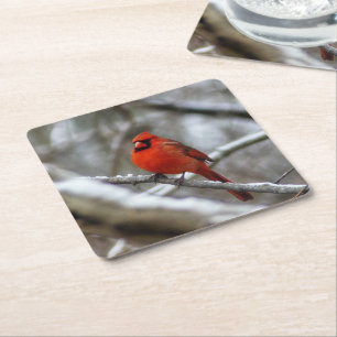 Dessous-de-verre Carré En Papier Cardinal masculin