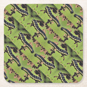 Dessous-de-verre Carré En Papier Catalpa Worms la pêche de poisson-chat de Camo