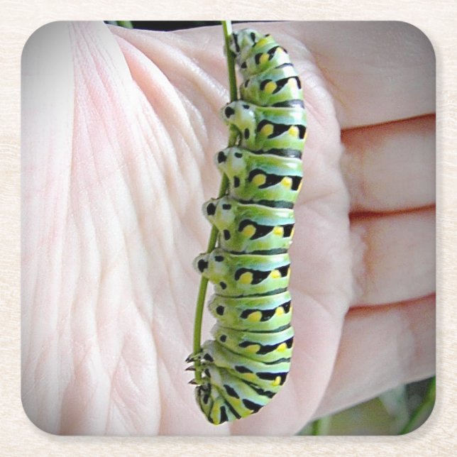 Dessous-de-verre Carré En Papier Caterpillar Noir/Papillon (Devant)