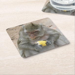 Dessous-de-verre Carré En Papier C'est à moi !! ... Macaque thaïlandais sauvage