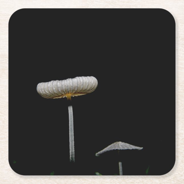 Dessous-de-verre Carré En Papier Champignons (Devant)