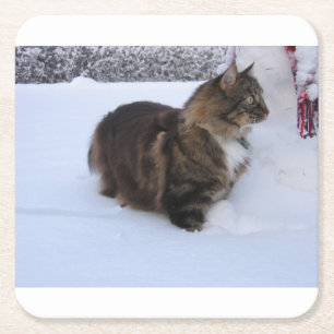 Dessous-de-verre Carré En Papier chat forestier norvégien dans la neige