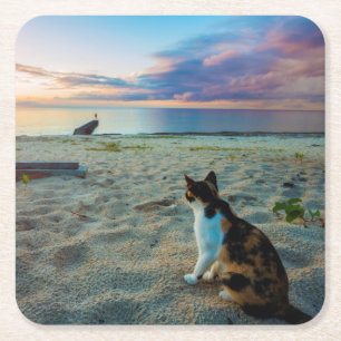 Dessous-de-verre Carré En Papier Chat se reposant sur une plage