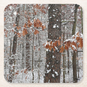 Dessous-de-verre Carré En Papier Chênes couverts de neige hiver Photographie de la