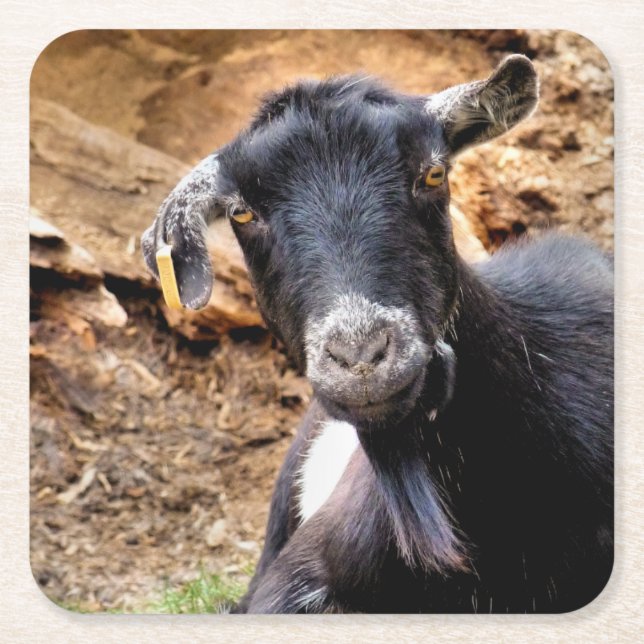 DESSOUS-DE-VERRE CARRÉ EN PAPIER CHÈTES (Devant)