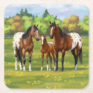 Dessous-de-verre Carré En Papier Chevaux Appaloosa De Baie Brown En Pâturage D'Été