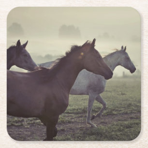 Dessous-de-verre Carré En Papier Chevaux sauvages