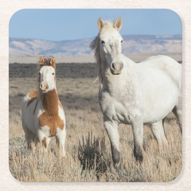 Dessous-de-verre Carré En Papier Chevaux sauvages chez eux dans le bassin de Sandwa (Devant)