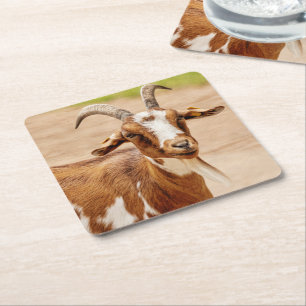 Dessous-de-verre Carré En Papier Chèvre Brown et chèvre blanche