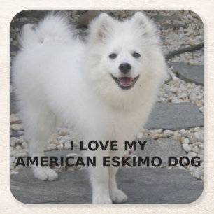 Dessous-de-verre Carré En Papier Chien Américain Eskimo amour avec photo