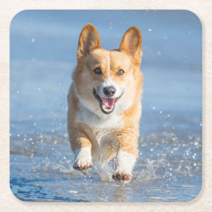 Dessous-de-verre Carré En Papier Chien de corgi de Gallois de Pembroke fonctionnant