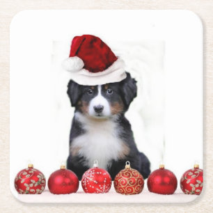 Dessous-de-verre Carré En Papier Chien de montagne de Bernese de Noël