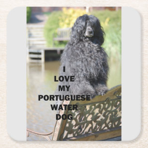 Dessous-de-verre Carré En Papier chien d'eau portugais amour avec photo
