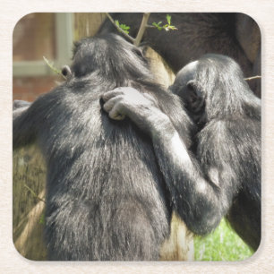 DESSOUS-DE-VERRE CARRÉ EN PAPIER CHIMPANZÉS