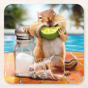 Dessous-de-verre Carré En Papier Chipmunk à la chaux