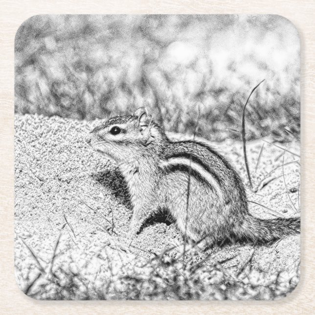 Dessous-de-verre Carré En Papier Chipmunk Sketch (Devant)