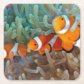 Dessous-de-verre Carré En Papier Clownfish