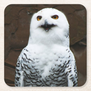 Dessous-de-verre Carré En Papier Coastère de Snowy Owl