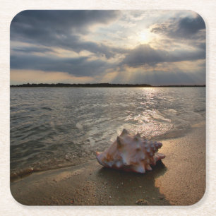 Dessous-de-verre Carré En Papier Conque Shell à la plage St Augustine, la Florid