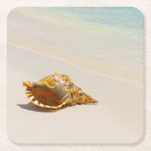 Dessous-de-verre Carré En Papier Conque Shell sur la plage 3