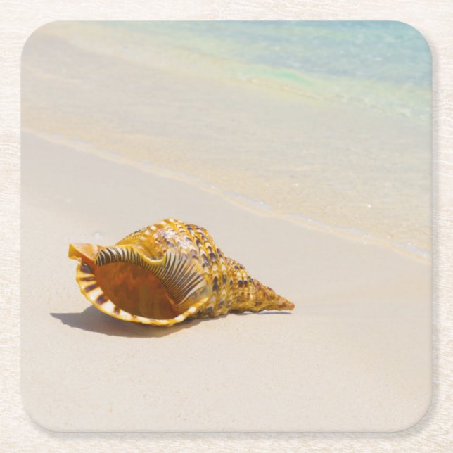 Dessous-de-verre Carré En Papier Conque Shell sur la plage 3 (Devant)