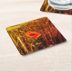 Dessous-de-verre Carré En Papier Coquelicot rouge dans le champ de blé doré de la f