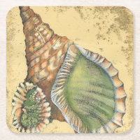 Coquillage Brown et vert