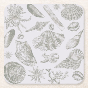 Dessous-de-verre Carré En Papier Coquilles de mer gris sauge doux croquis Antique N